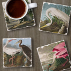 Fine Art "John James Audubon" 4pk Asst. Stone Coasters
