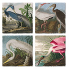 Fine Art "John James Audubon" 4pk Asst. Stone Coasters