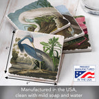 Fine Art "John James Audubon" 4pk Asst. Stone Coasters